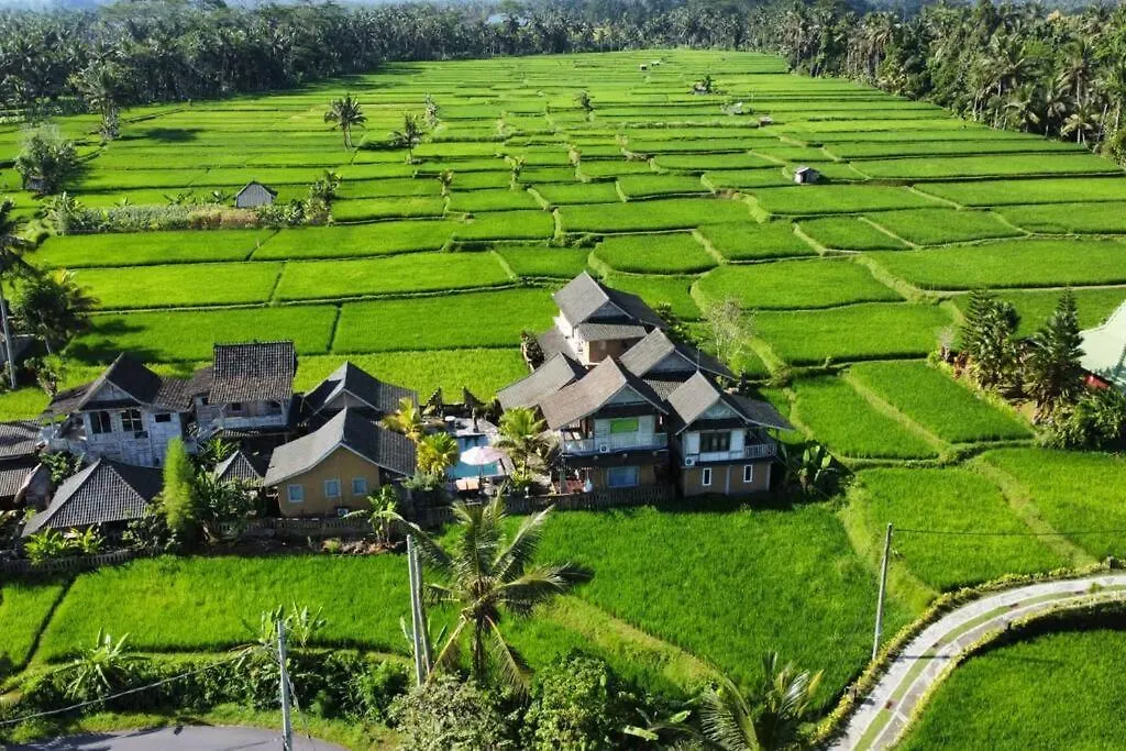 Ananda Jj Ubud Resort & Spa Индонезия